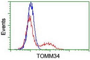 Image no. 1 for anti-Translocase of Outer Mitochondrial Membrane 34 (TOMM34) antibody (ABIN1501469) (TOMM34 anticorps)
