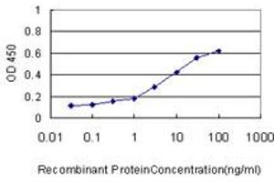 Detection limit for recombinant GST tagged RAB9A is approximately 0. (RAB9A anticorps  (AA 17-115))