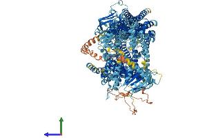 AlphaFold protein structure predicition of Human Recombinant ABCC9 Protein, UniprotID O60706
