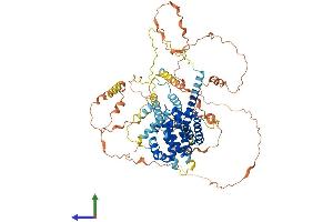AlphaFold protein structure predicition of Mouse Recombinant Patl1 Protein, UniprotID Q3TC46