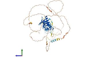 AlphaFold protein structure predicition of Mouse Recombinant Esco2 Protein, UniprotID Q8CIB9