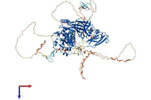 AlphaFold protein structure predicition of Human Recombinant CAPN15 Protein, UniprotID O75808