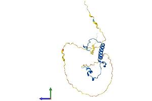 AlphaFold protein structure predicition of Human Recombinant CDKN1B Protein, UniprotID P46527