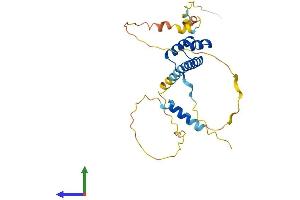 AlphaFold protein structure predicition of Mouse Recombinant Prrx2 Protein, UniprotID Q06348