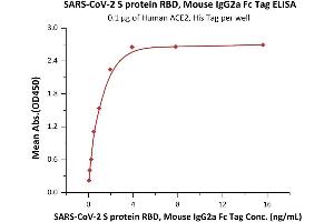 Immobilized Human ACE2, His Tag (ABIN6952618) at 1 μg/mL (100 μL/well) can bind SARS-CoV-2 S protein RBD, Mouse IgG2a Fc Tag (ABIN6952629) with a linear range of 0.