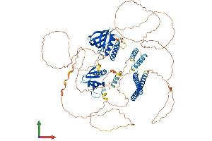 AlphaFold protein structure predicition of Mouse Recombinant Afap1l2 Protein, UniprotID Q5DTU0