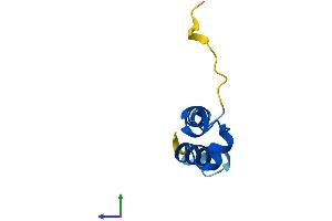 AlphaFold protein structure predicition of Human Recombinant COA5 Protein, UniprotID Q86WW8