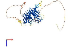 AlphaFold protein structure predicition of Human Recombinant CHAF1B Protein, UniprotID Q13112