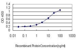 Detection limit for recombinant GST tagged HEYL is approximately 1ng/ml as a capture antibody.