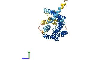 AlphaFold protein structure predicition of Human Recombinant OR13C8 Protein, UniprotID Q8NGS7