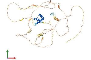 AlphaFold protein structure predicition of Mouse Recombinant Irx4 Protein, UniprotID Q9QY61