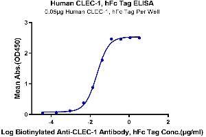 Immobilized Human CLEC-1, hFc Tag at 0.