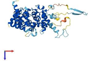 AlphaFold protein structure predicition of Mouse Recombinant Tbc1d13 Protein, UniprotID Q8R3D1