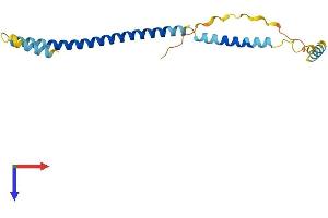 Charged Multivesicular Body Protein 4B Pseudogene 1 (CHMP4BP1) (AA 1-171) protein (His tag)