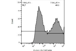 Flow cytometry analysis (surface staining) of CD261-transfected HEK-293 cells with anti-CD261/TRAIL-R1 (DR-4-02) FITC.