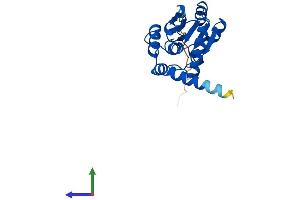 AlphaFold protein structure predicition of Human Recombinant CDKN3 Protein, UniprotID Q16667
