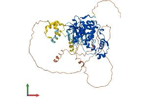 AlphaFold protein structure predicition of Mouse Recombinant Cdk17 Protein, UniprotID Q8K0D0