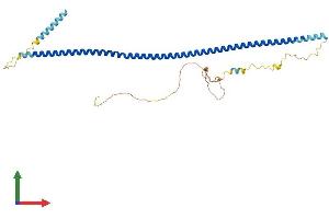 AlphaFold protein structure predicition of Human Recombinant DTNBP1 Protein, UniprotID Q96EV8