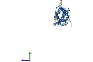 AlphaFold protein structure predicition of Mouse Recombinant Aplnr Protein, UniprotID Q9WV08