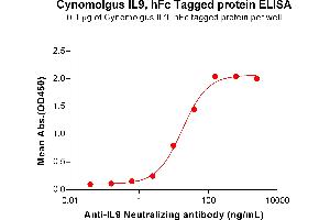 ELISA plate pre-coated by 1 μg/mL (100 μL/well) Cynomolgus IL9 Protein, hFc Tag (ABIN7455417, ABIN7490677 and ABIN7490679) can bind Anti-IL9 Neutralizing antibody (ABIN7455963 and ABIN7490969) in a linear range of 2.