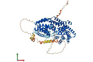 AlphaFold protein structure predicition of Human Recombinant TTC39B Protein, UniprotID Q5VTQ0