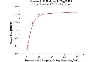 Immobilized Human IL-11, His Tag (ABIN6992342) at 5 μg/mL (100 μL/well) can bind Human IL-11 R alpha, Fc Tag (ABIN6992343) with a linear range of 1-10 ng/mL (QC tested). (IL11RA Protein (AA 24-370) (Fc Tag))