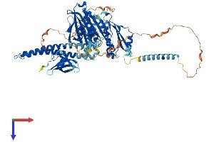 AlphaFold protein structure predicition of Human Recombinant KIF2A Protein, UniprotID O00139