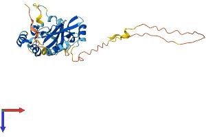 AlphaFold protein structure predicition of Mouse Recombinant Tpgs2 Protein, UniprotID Q66JT5