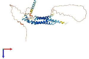 AlphaFold protein structure predicition of Human Recombinant MARVELD3 Protein, UniprotID Q96A59