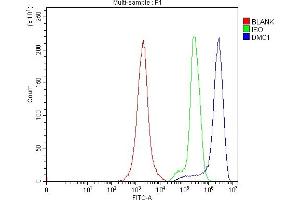 Flow Cytometry analysis of Jurkat cells using anti-DMC1 antibody (ABIN7601468). (DMC1 anticorps  (AA 36-283))