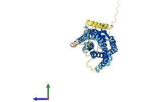 AlphaFold protein structure predicition of Mouse Recombinant C5ar2 Protein, UniprotID Q8BW93