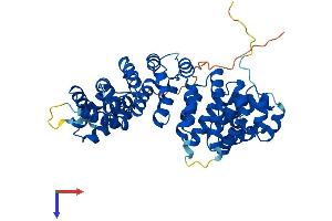AlphaFold protein structure predicition of Human Recombinant ARMC6 Protein, UniprotID Q6NXE6
