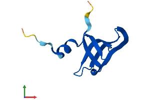 AlphaFold protein structure predicition of Human Recombinant LSM6 Protein, UniprotID P62312