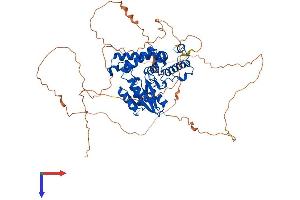 AlphaFold protein structure predicition of Human Recombinant EYA3 Protein, UniprotID Q99504