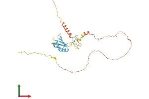 AlphaFold protein structure predicition of Mouse Recombinant Srsf7 Protein, UniprotID Q8BL97