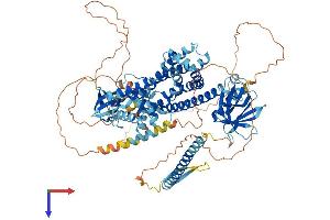 AlphaFold protein structure predicition of Mouse Recombinant Arhgef7 Protein, UniprotID Q9ES28