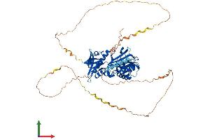 AlphaFold protein structure predicition of Human Recombinant SYN2 Protein, UniprotID Q92777