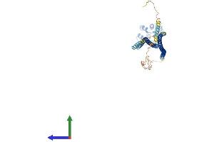 AlphaFold protein structure predicition of Mouse Recombinant Card9 Protein, UniprotID A2AIV8