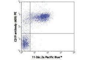 Flow Cytometry (FACS) image for Rat anti-Mouse IgD antibody (Pacific Blue) (ABIN2667176) (Rat anti-Souris IgD Anticorps (Pacific Blue))