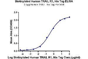 Immobilized Human TRAIL, No Tag at 5 μg/mL (100 μL/well) on the plate.