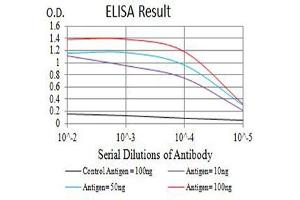 Black line: Control Antigen (100 ng),Purple line: Antigen (10 ng), Blue line: Antigen (50 ng), Red line:Antigen (100 ng)