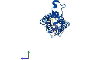 AlphaFold protein structure predicition of Human Recombinant VKORC1 Protein, UniprotID Q9BQB6