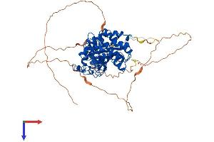 AlphaFold protein structure predicition of Human Recombinant DYRK2 Protein, UniprotID Q92630