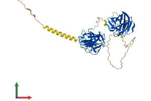 AlphaFold protein structure predicition of Human Recombinant SPRYD3 Protein, UniprotID Q8NCJ5