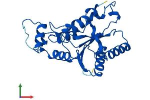 AlphaFold protein structure predicition of Mouse Recombinant Nqo2 Protein, UniprotID Q9JI75
