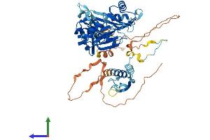 AlphaFold protein structure predicition of Human Recombinant RBM46 Protein, UniprotID Q8TBY0
