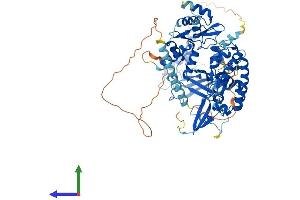 AlphaFold protein structure predicition of Mouse Recombinant Polr3e Protein, UniprotID Q9CZT4