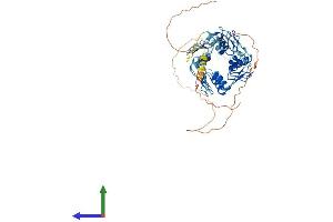 AlphaFold protein structure predicition of Human Recombinant ZNF623 Protein, UniprotID O75123