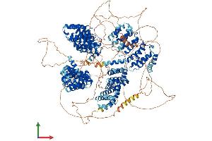 AlphaFold protein structure predicition of Human Recombinant CLASP1 Protein, UniprotID Q7Z460