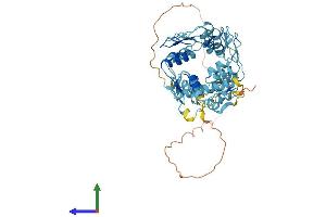 AlphaFold protein structure predicition of Human Recombinant ZFP30 Protein, UniprotID Q9Y2G7